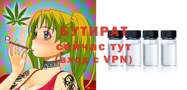 индика Дмитров