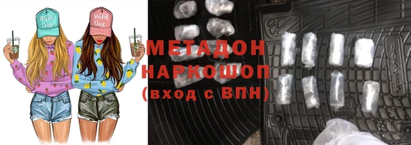 индика Дмитров