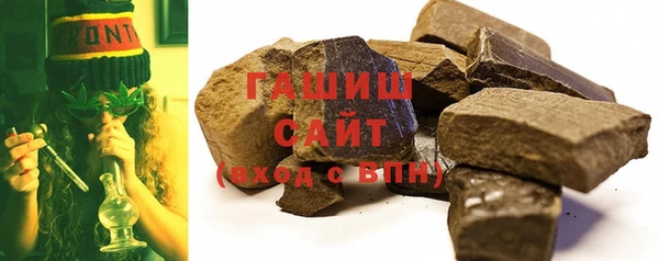 индика Дмитров