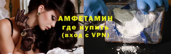 индика Дмитров
