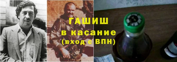 индика Дмитров