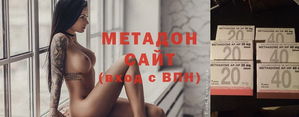 индика Дмитров
