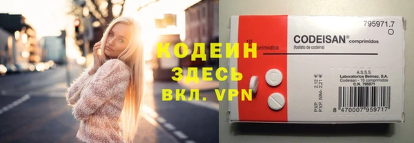 индика Дмитров