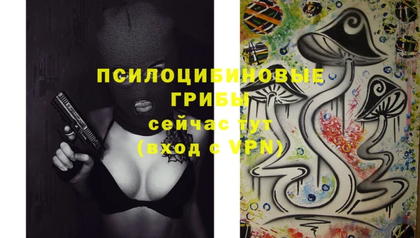 каннабис Дмитриев