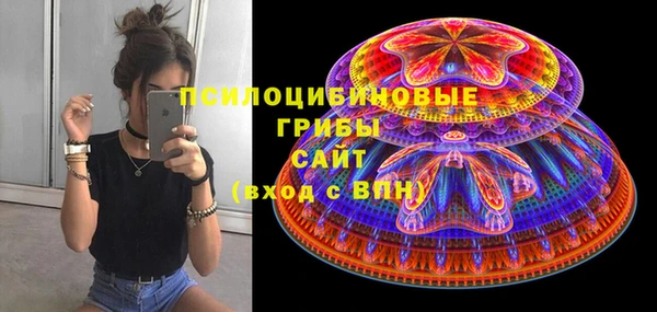 индика Дмитров