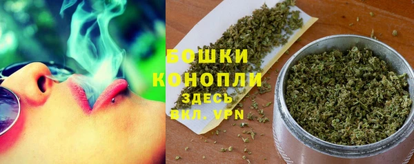 индика Дмитров