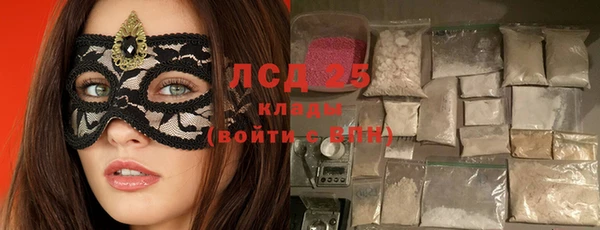 индика Дмитров